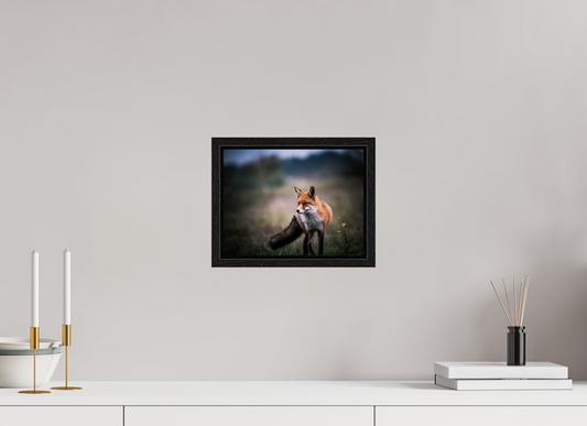 Pure Magic - Red Fox Print