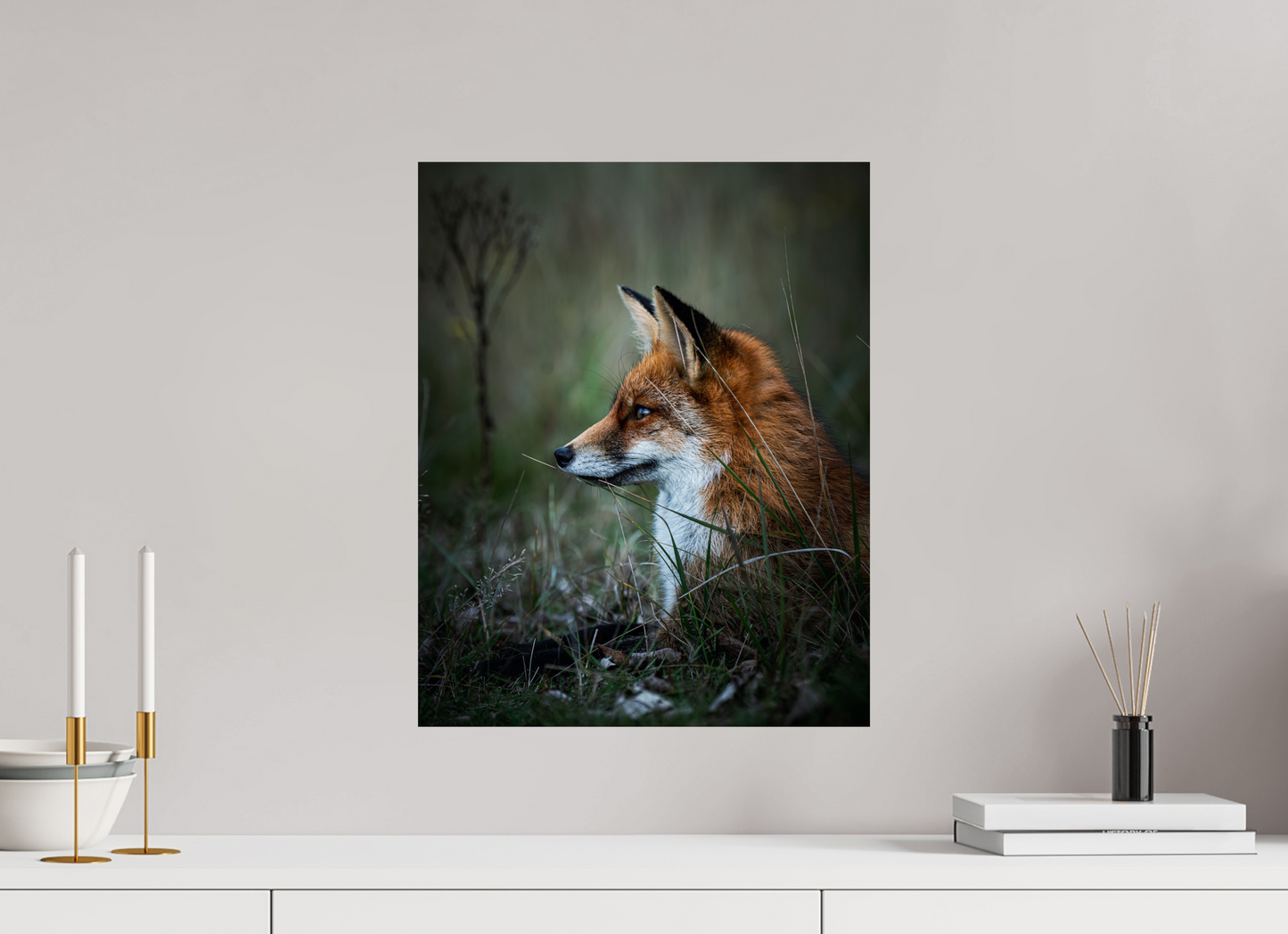 Between Fox and Wolf - Red Fox Print