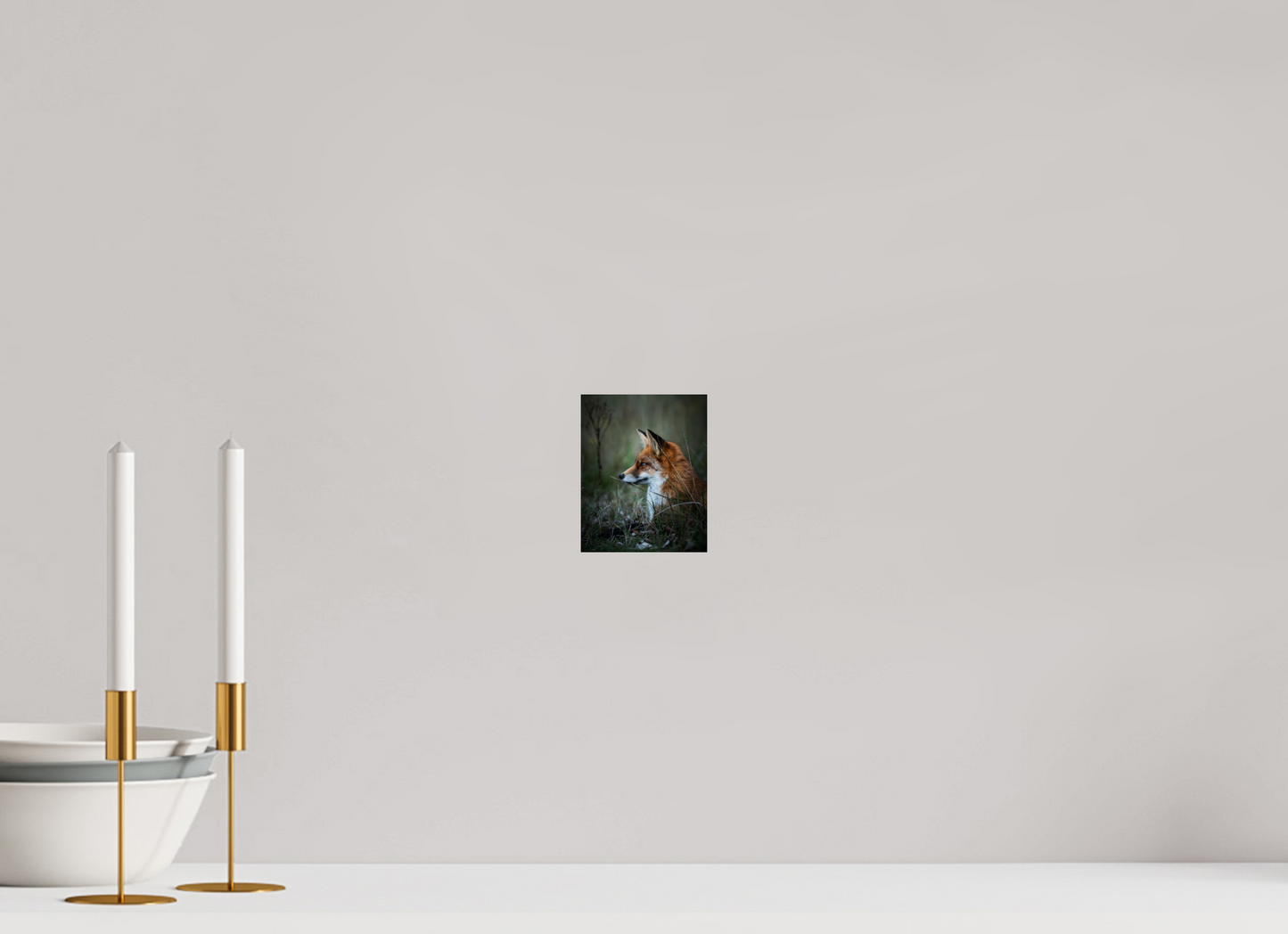 Between Fox and Wolf - Red Fox Print