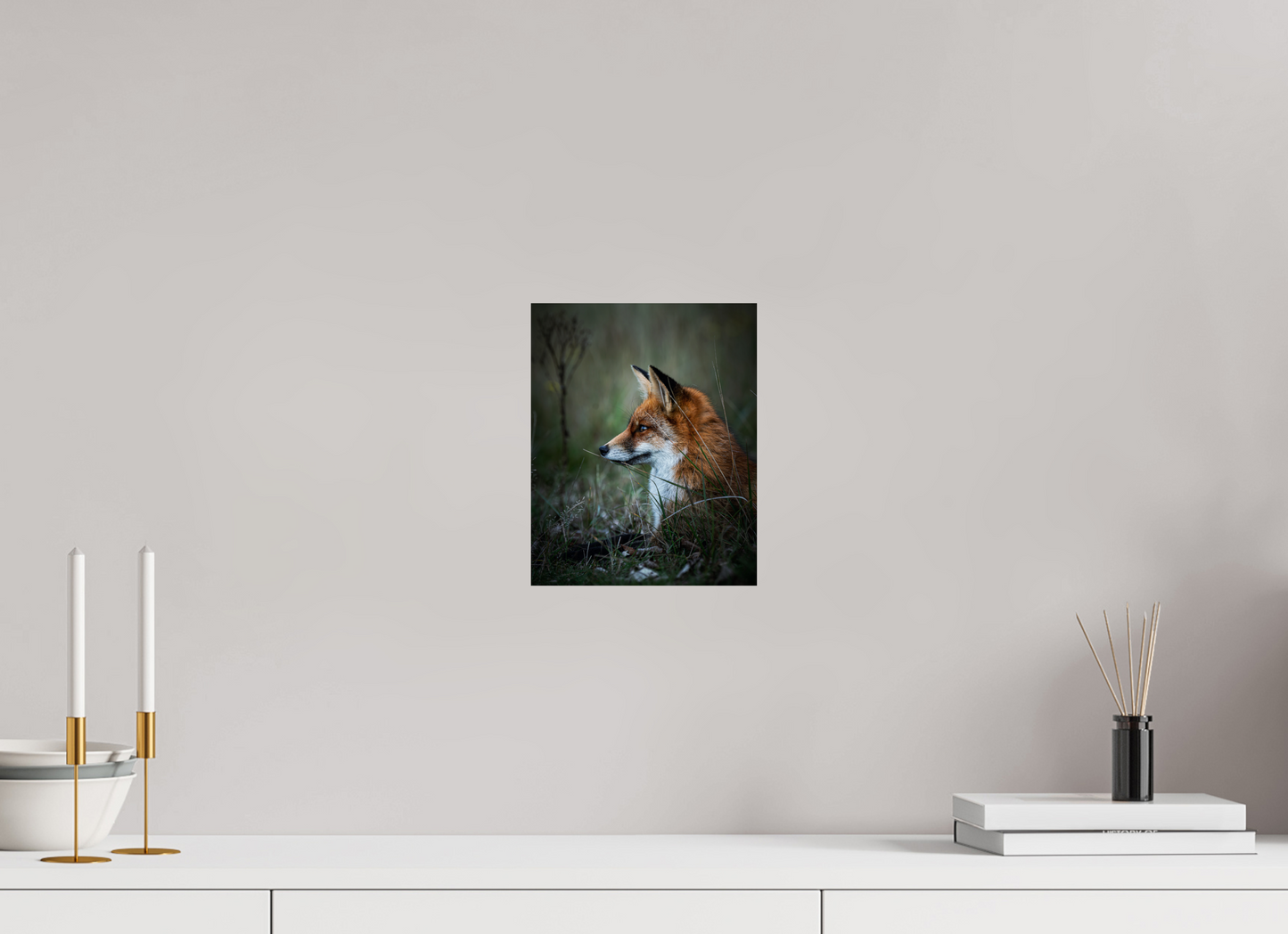 Between Fox and Wolf - Red Fox Print