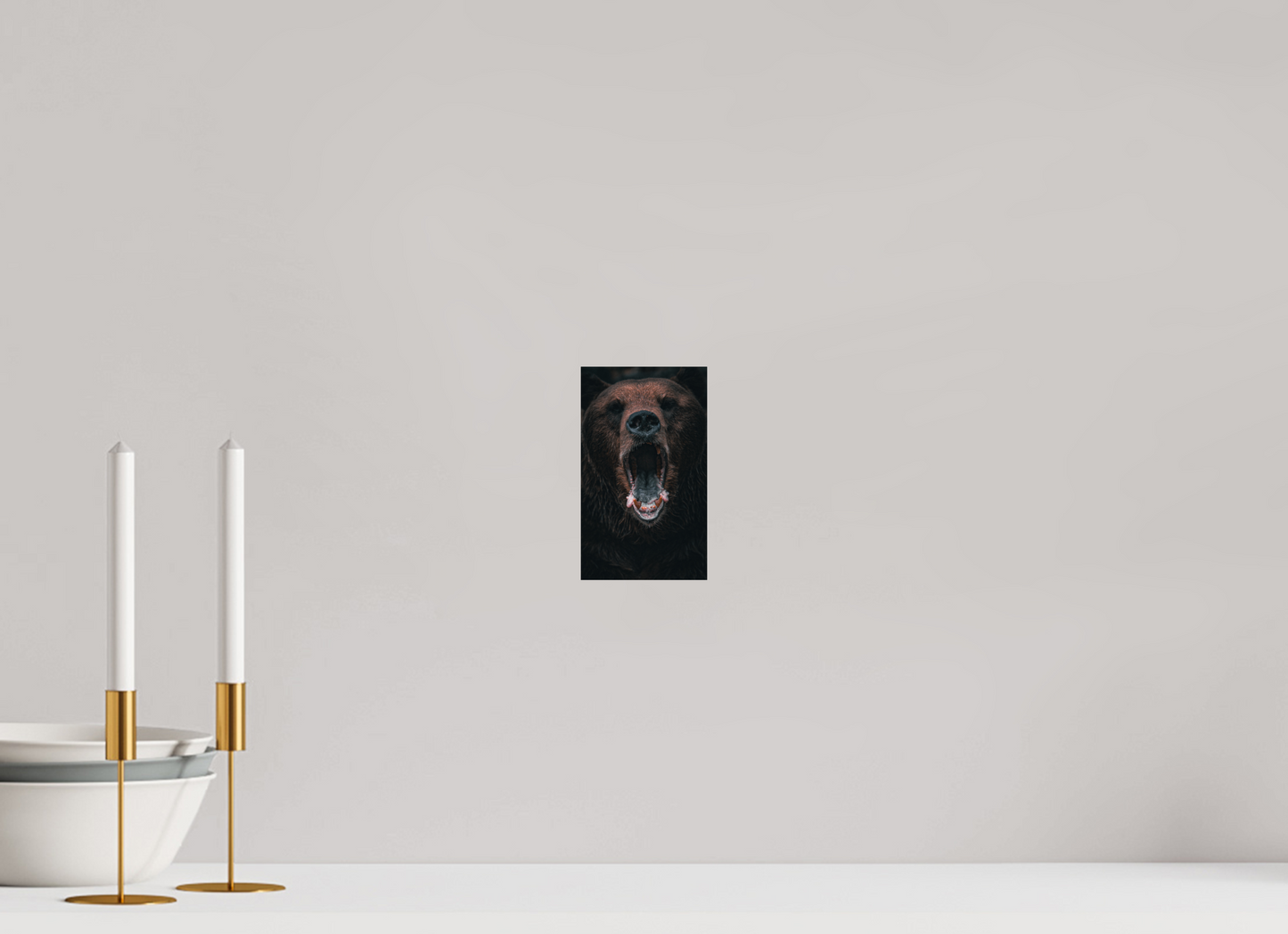 Shout in Silence - Brown bear prints