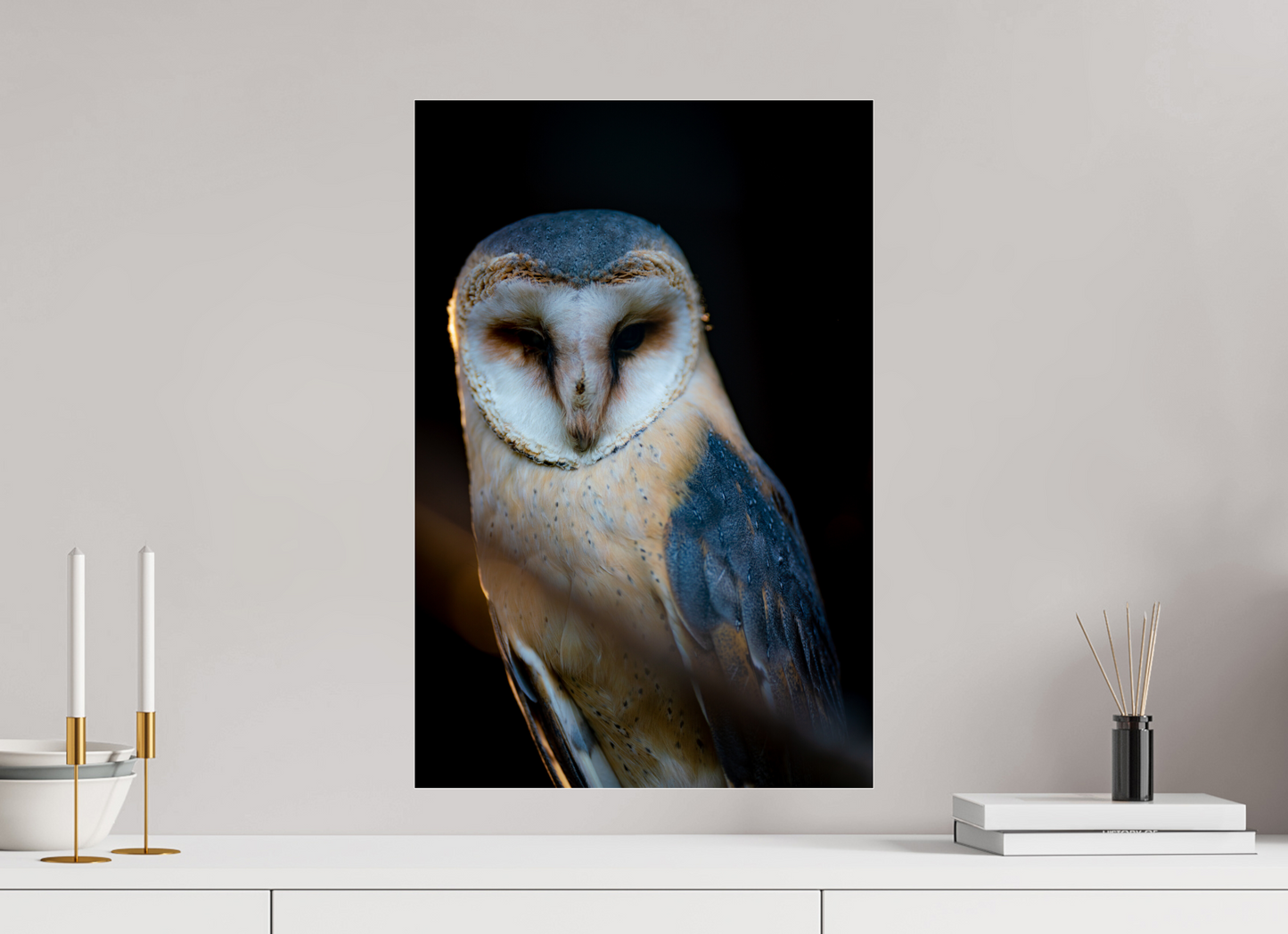 Found in Silence - Barn Owl Print