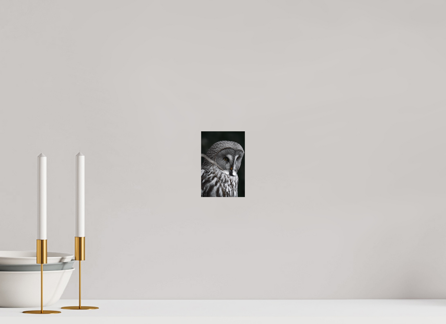 The Silent Hunter - Great Grey Owl Print