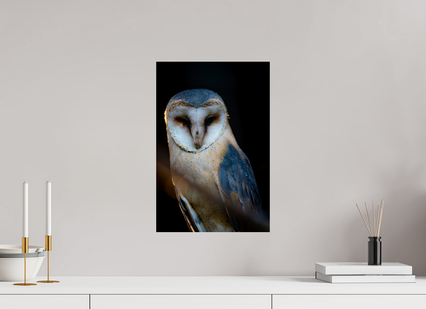 Found in Silence - Barn Owl Print