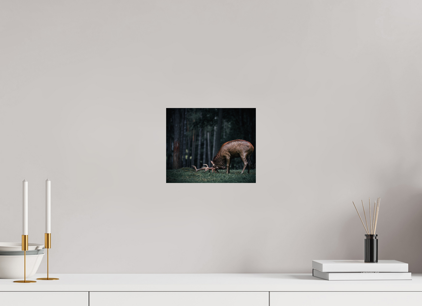 Not all those who wander are lost - Red Deer Print