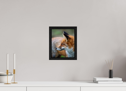 Whispers of the Wild - Red Fox Print