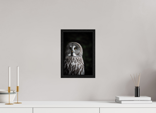 Don't give up on your dreams - Great Grey Owl Print