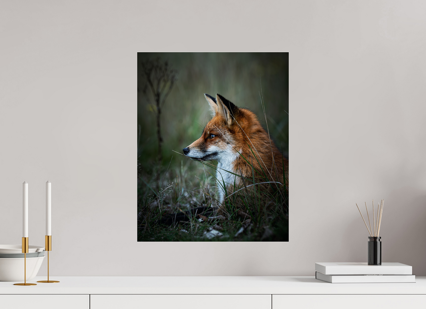 Between Fox and Wolf - Red Fox Print