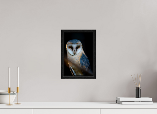 Found in Silence - Barn Owl Print