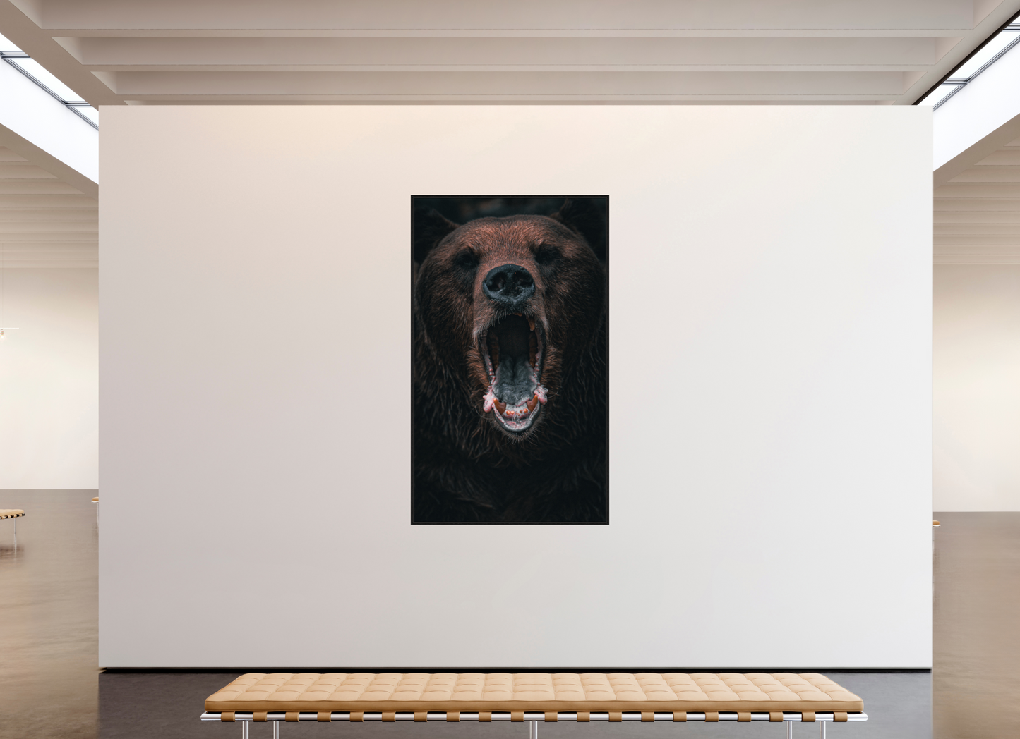 Shout in Silence - Brown bear prints