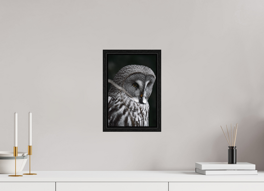 The Silent Hunter - Great Grey Owl Print