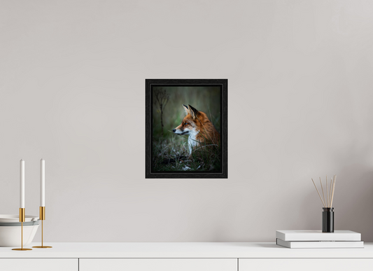 Between Fox and Wolf - Red Fox Print