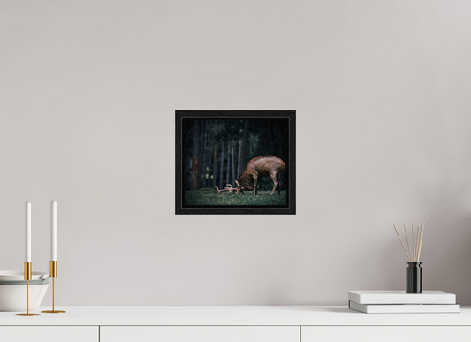 Not all those who wander are lost - Red Deer Print