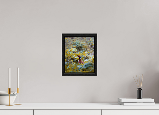 Prince - Pheasant prints