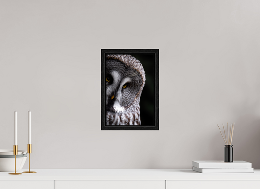 Eye contact - Great Grey Owl Print
