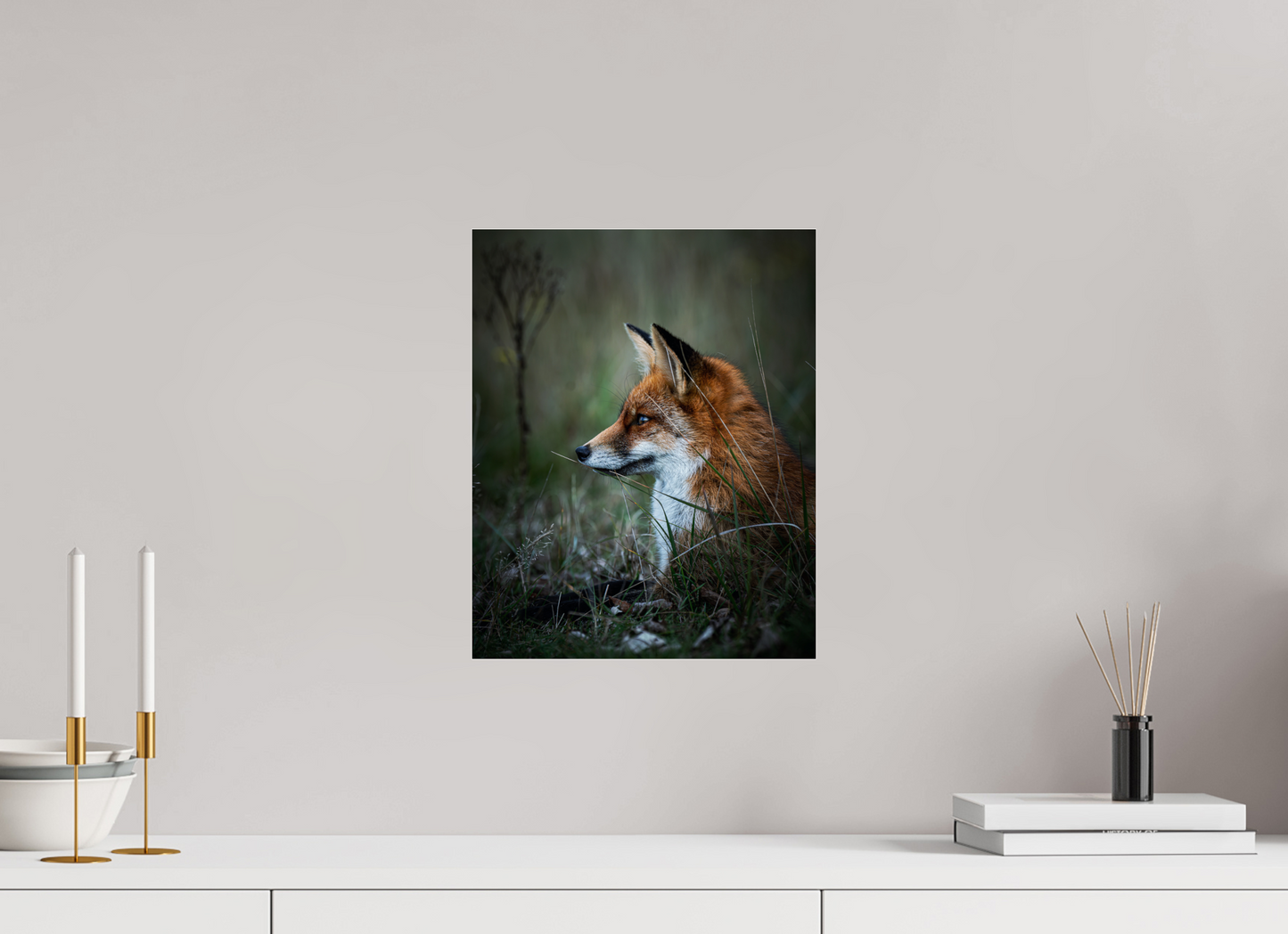 Between Fox and Wolf - Red Fox Print