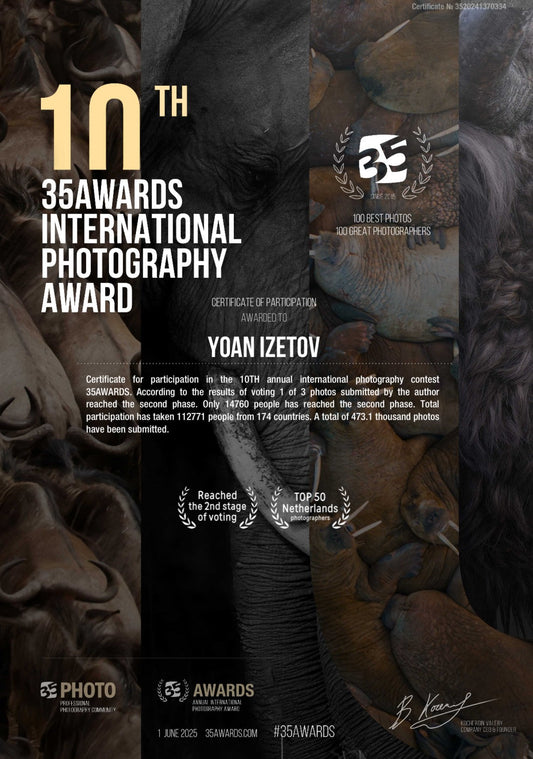 TOP 50 PHOTOGRAPHER - INTERNATIONAL AWARD