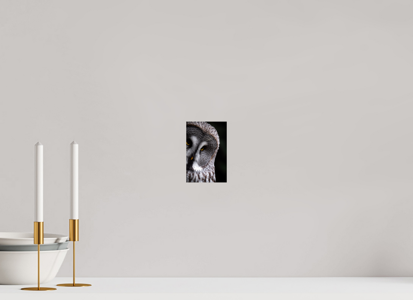 Eye contact - Great Grey Owl Print
