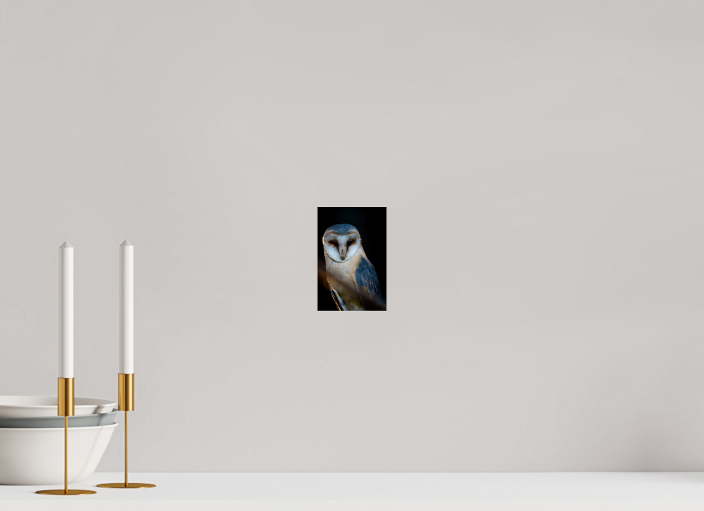 Found in Silence - Barn Owl Print